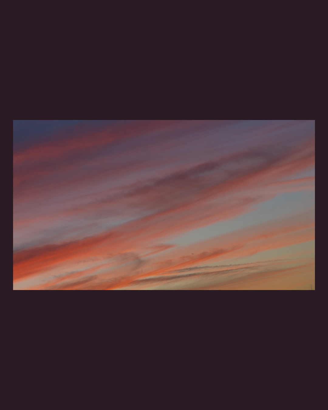 Proud light - 02