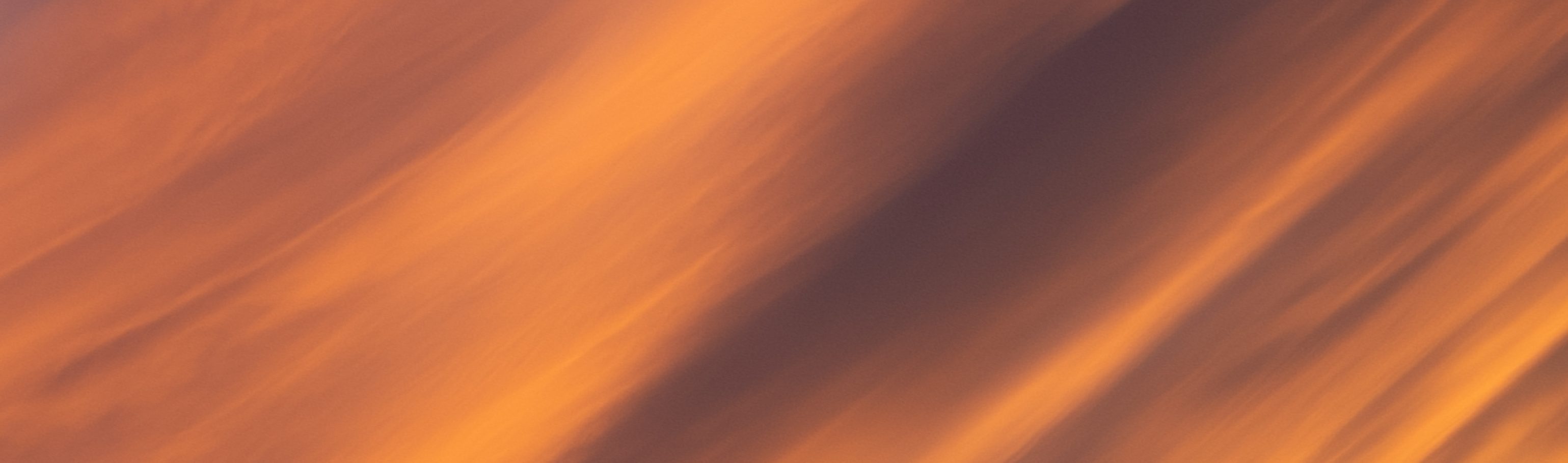The Last Light